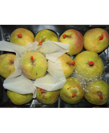Pears Decana