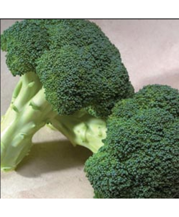 Roman broccoli