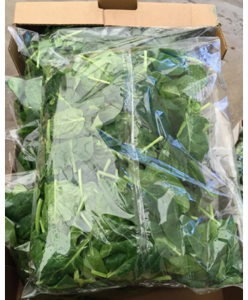Washed Spinach in bag 500 Gr