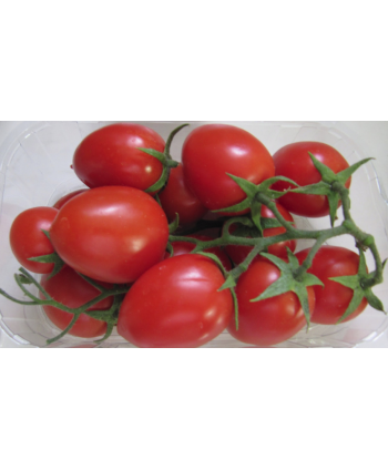 “Datterino” tomatoes