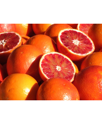 Moro Oranges